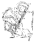 Mid America Track Map