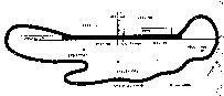 Pacific Raceways Track Map